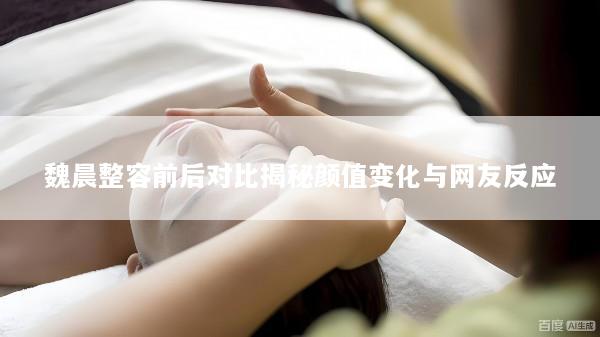 魏晨整容前后对比揭秘颜值变化与网友反应